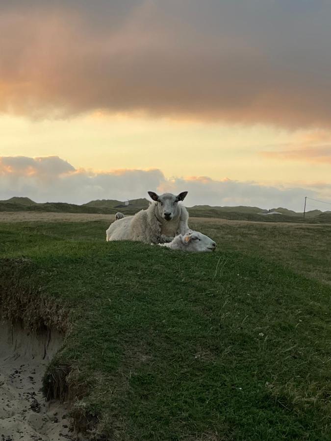 Fresh Hytte Ved Borestranden Med To Soverom Og Hems Klepp エクステリア 写真